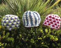 Shell Beanies